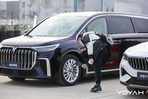 自由隨心 追逐夢想 嵐圖汽車武漢工廠產品日體驗活動圓滿落幕